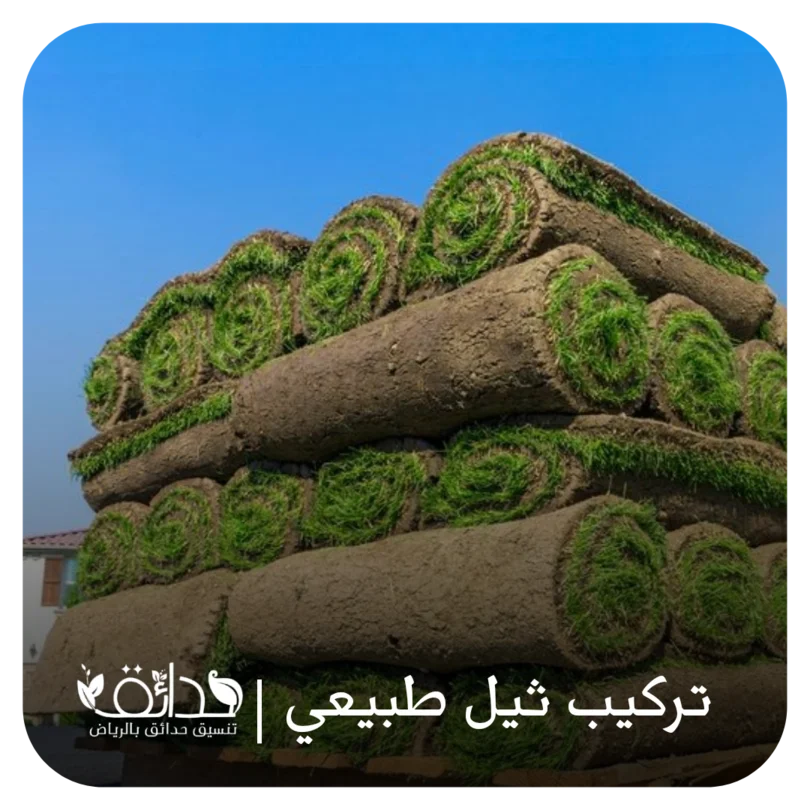 شركة حدائق لتنسيق الحدائق بالرياض